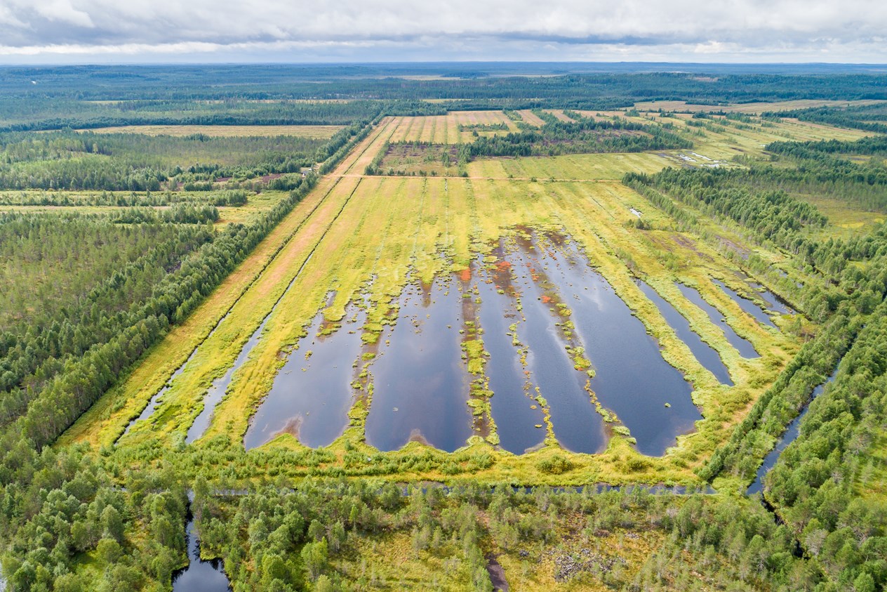 Aerial view of the Korpinurmi Wetland. Photo by Petri Jauhiainen / Finnish Wildlife Agency.
